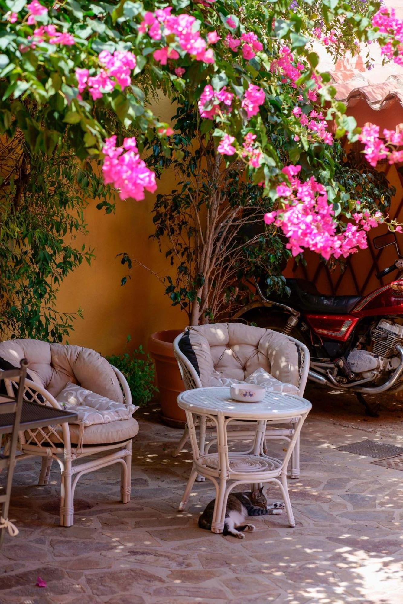 Il Piccolo Giardino Rooms & Breakfast Villasimius Εξωτερικό φωτογραφία