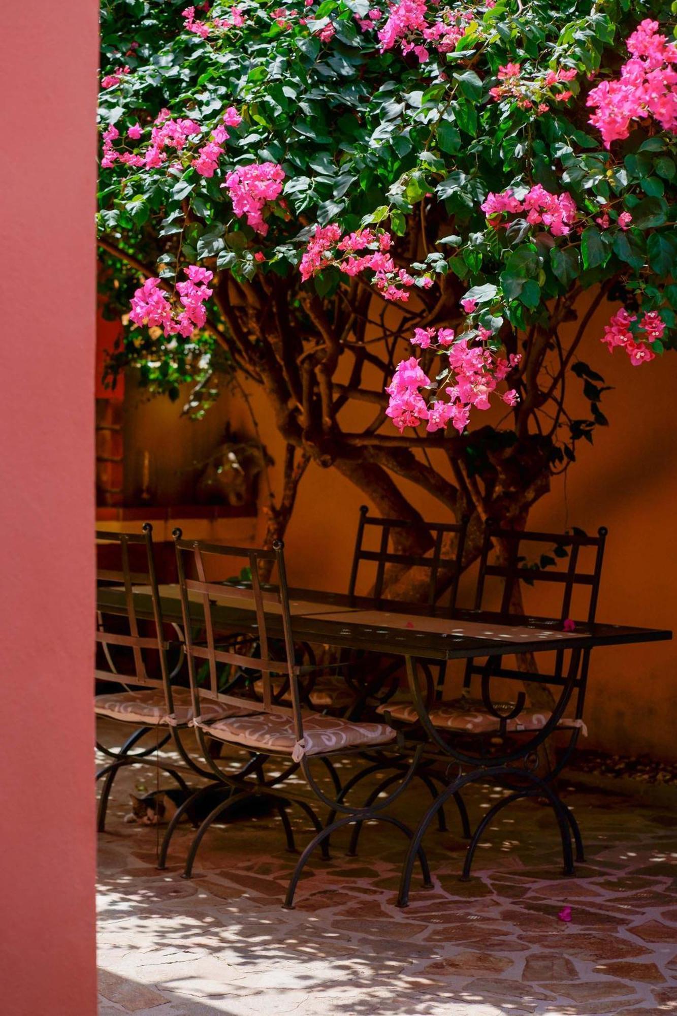 Il Piccolo Giardino Rooms & Breakfast Villasimius Εξωτερικό φωτογραφία