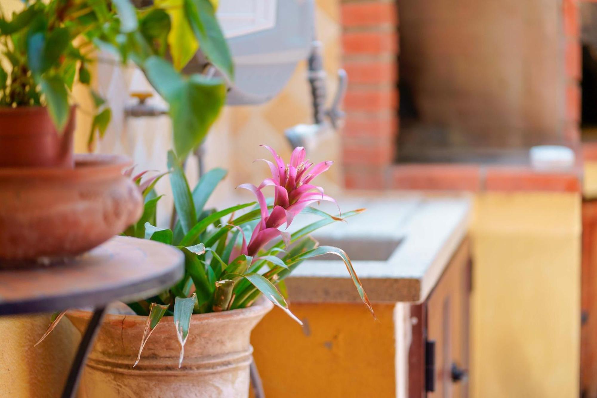 B&B Il Piccolo Giardino Villasimius Εξωτερικό φωτογραφία